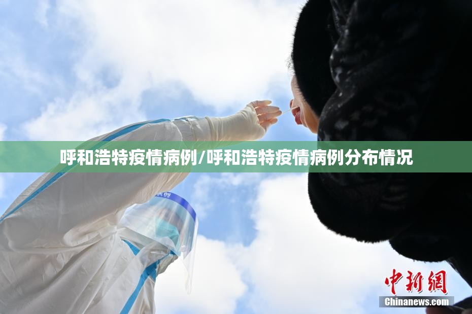 呼和浩特疫情病例/呼和浩特疫情病例分布情况