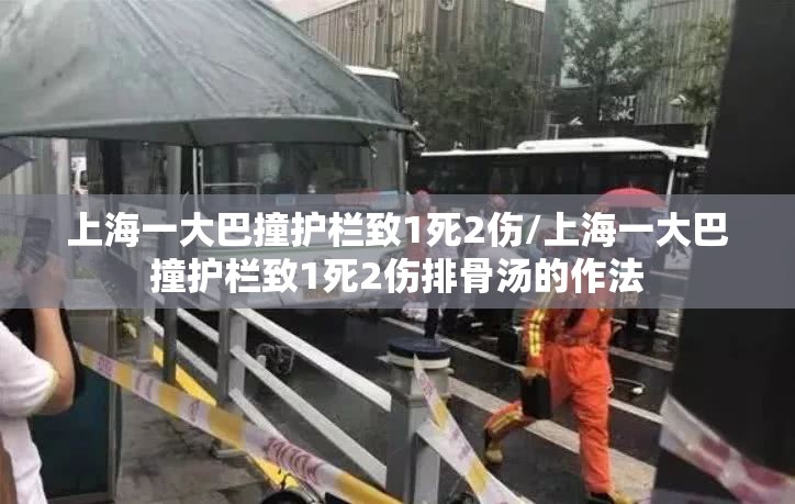 上海一大巴撞护栏致1死2伤/上海一大巴撞护栏致1死2伤排骨汤的作法