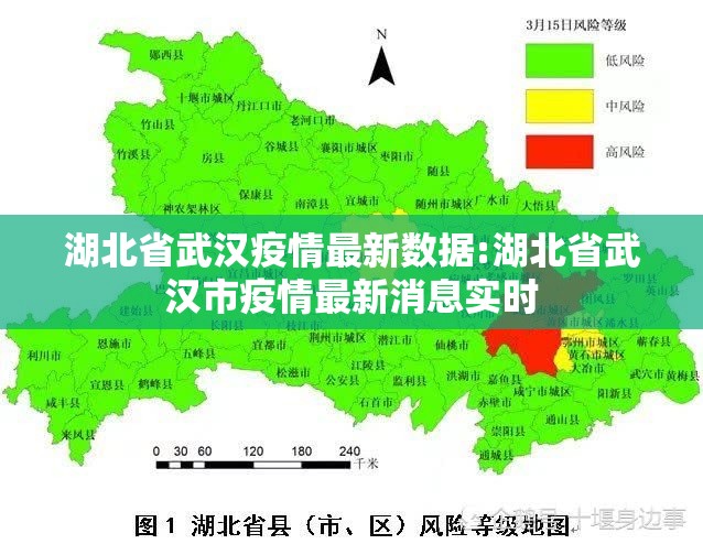 湖北省武汉疫情最新数据:湖北省武汉市疫情最新消息实时