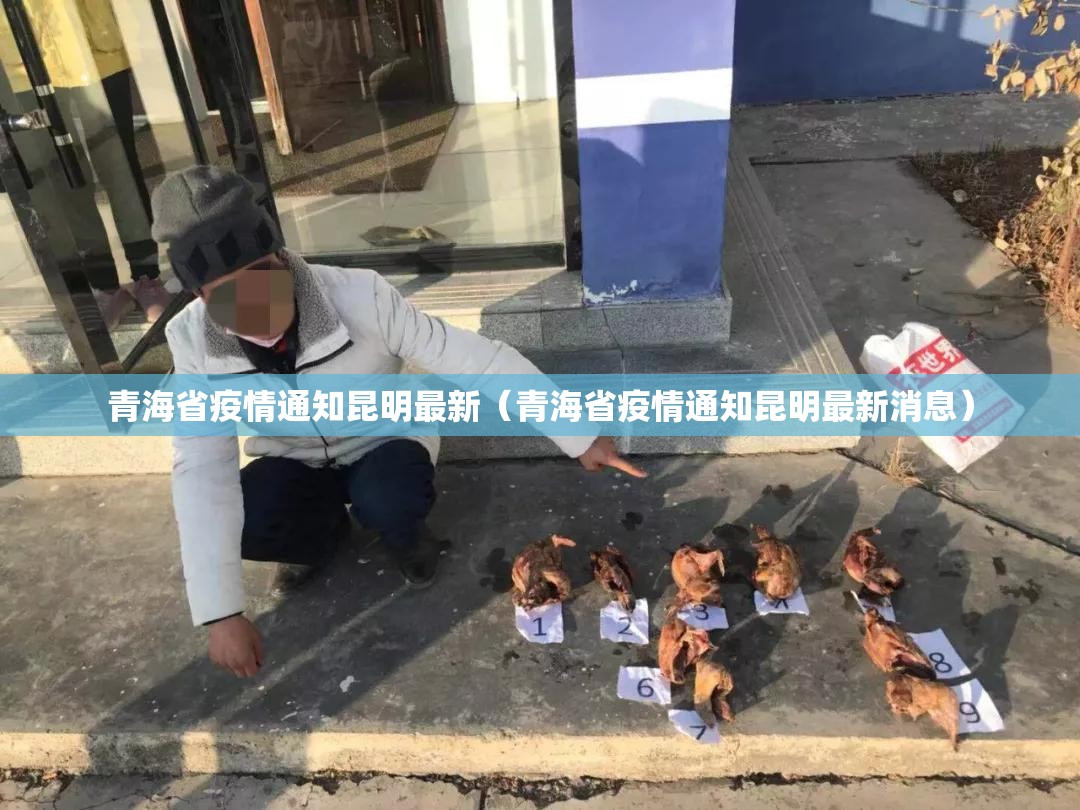 青海省疫情通知昆明最新（青海省疫情通知昆明最新消息）