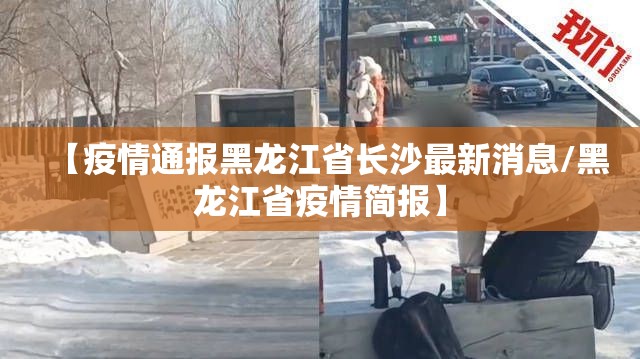 【疫情通报黑龙江省长沙最新消息/黑龙江省疫情简报】