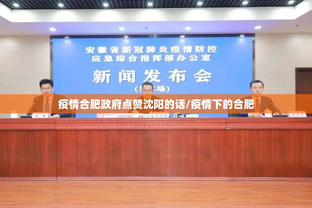 疫情合肥政府点赞沈阳的话/疫情下的合肥