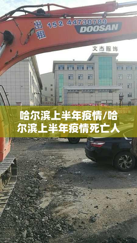 哈尔滨上半年疫情/哈尔滨上半年疫情死亡人数