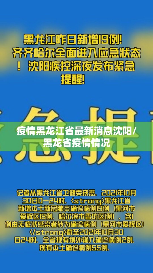 疫情黑龙江省最新消息沈阳/黑龙省疫情情况
