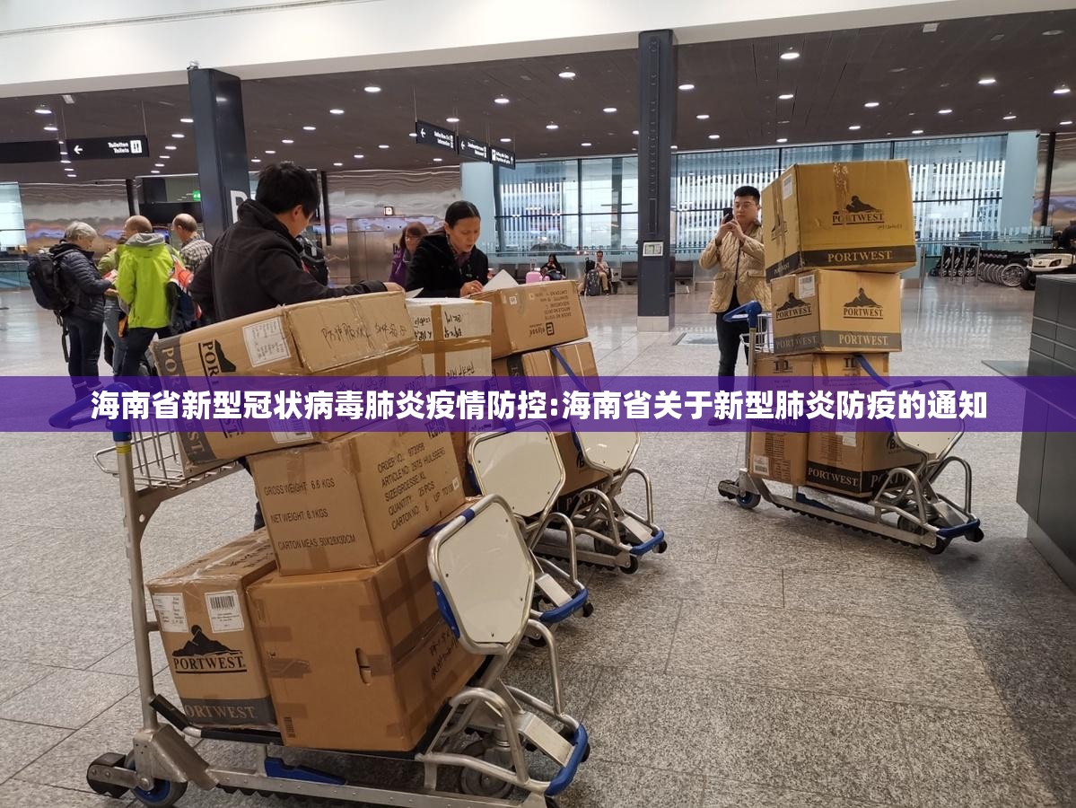 海南省新型冠状病毒肺炎疫情防控:海南省关于新型肺炎防疫的通知