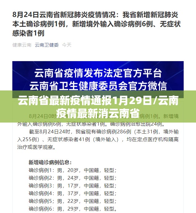云南省最新疫情通报1月29日/云南疫情最新消云南省