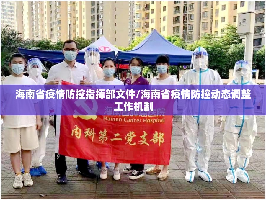 海南省疫情防控指挥部文件/海南省疫情防控动态调整工作机制