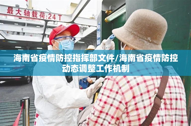 海南省疫情防控指挥部文件/海南省疫情防控动态调整工作机制