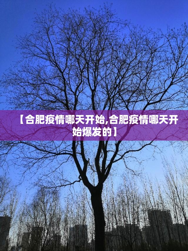 【合肥疫情哪天开始,合肥疫情哪天开始爆发的】