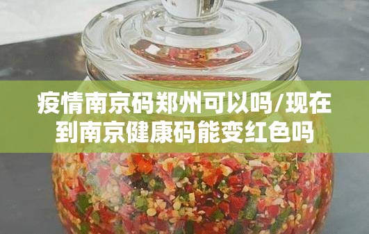 疫情南京码郑州可以吗/现在到南京健康码能变红色吗