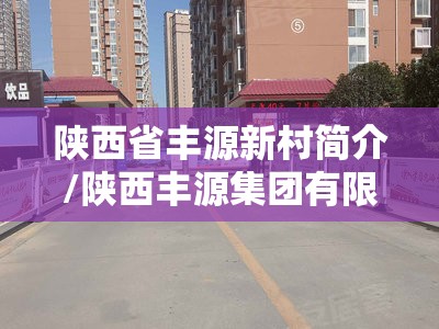 陕西省丰源新村简介/陕西丰源集团有限公司