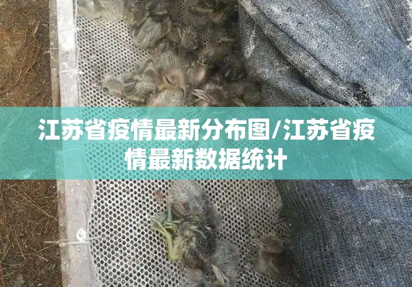 江苏省疫情最新分布图/江苏省疫情最新数据统计