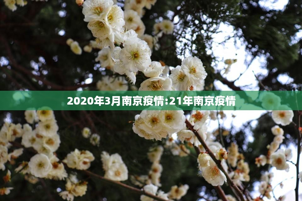 2020年3月南京疫情:21年南京疫情