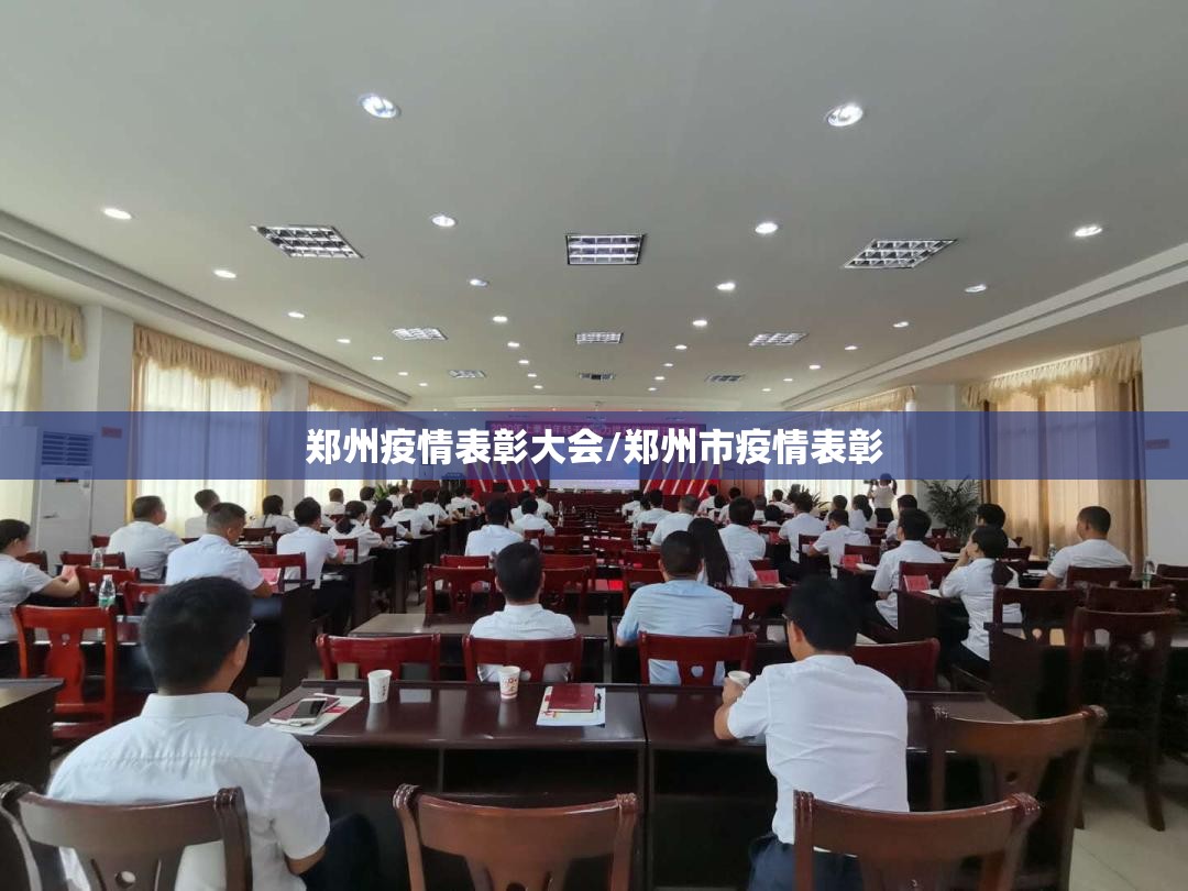 郑州疫情表彰大会/郑州市疫情表彰