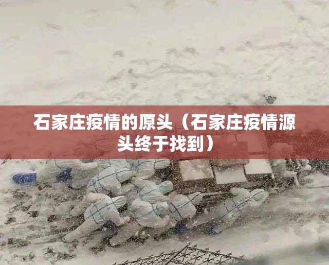 石家庄疫情的原头（石家庄疫情源头终于找到）