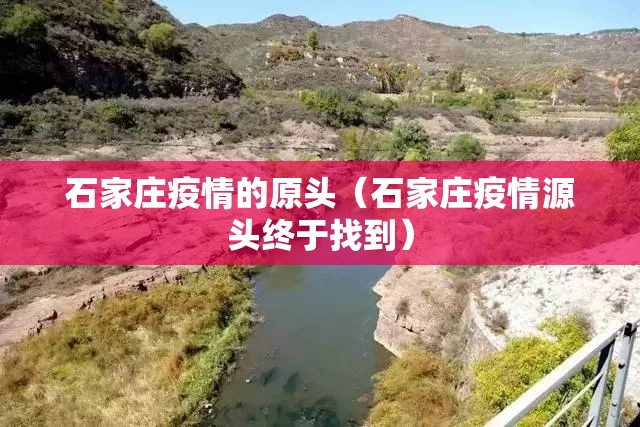 石家庄疫情的原头（石家庄疫情源头终于找到）