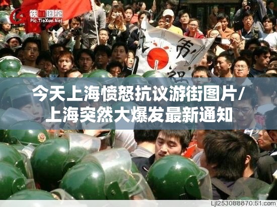 今天上海愤怒抗议游街图片/上海突然大爆发最新通知
