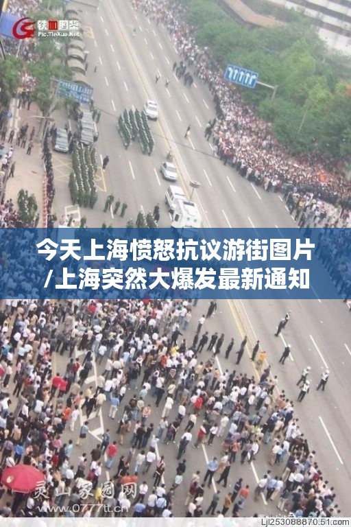 今天上海愤怒抗议游街图片/上海突然大爆发最新通知
