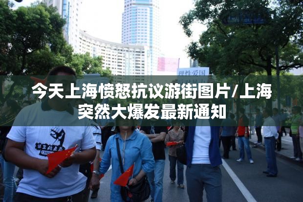 今天上海愤怒抗议游街图片/上海突然大爆发最新通知