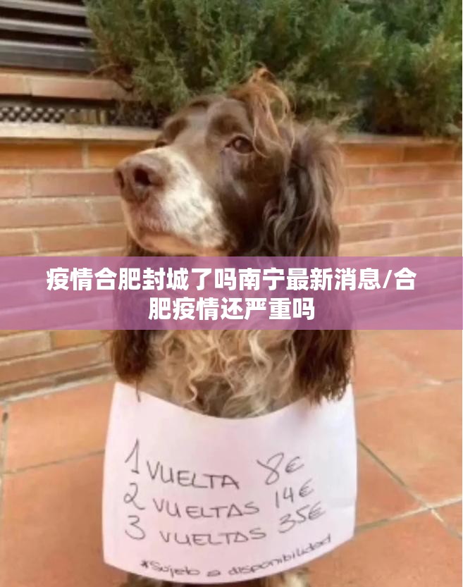 疫情合肥封城了吗南宁最新消息/合肥疫情还严重吗