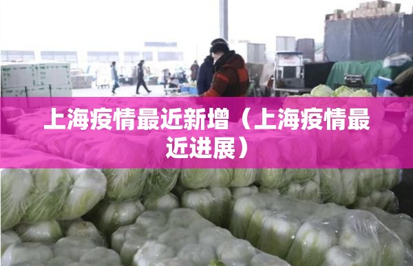 上海疫情最近新增（上海疫情最近进展）