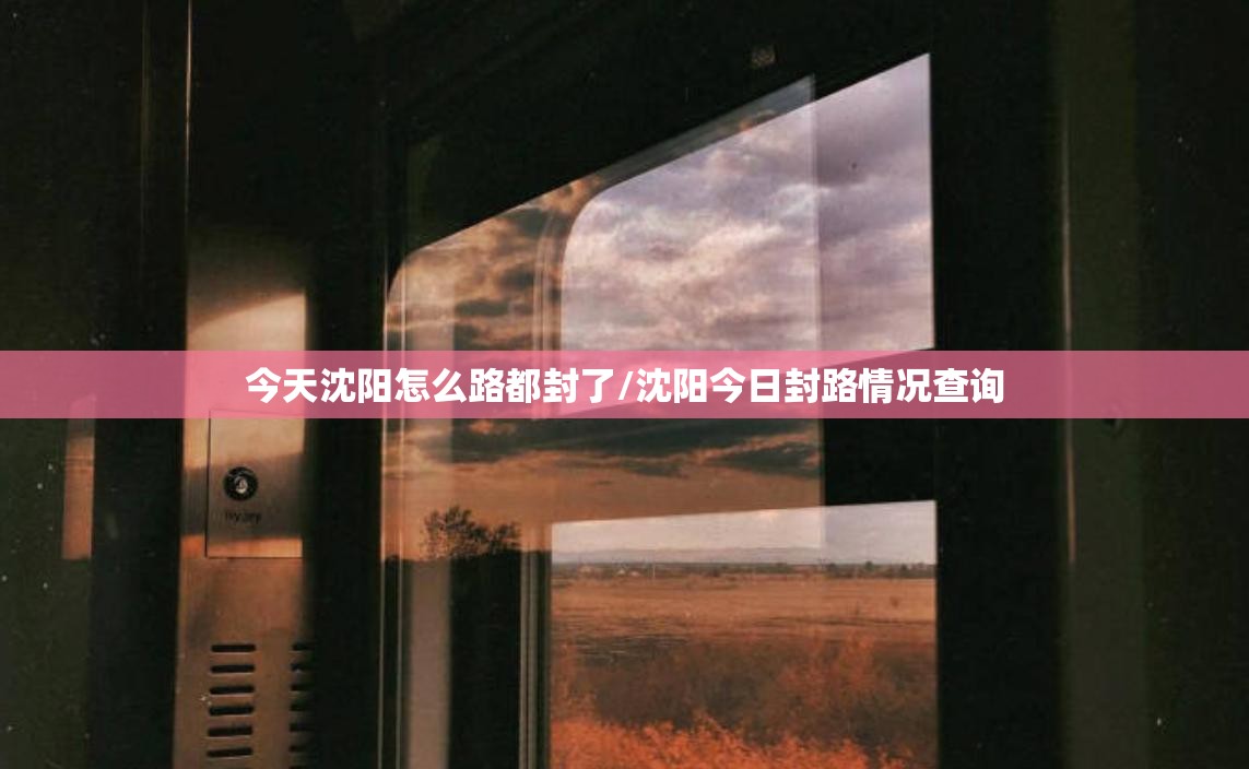 今天沈阳怎么路都封了/沈阳今日封路情况查询