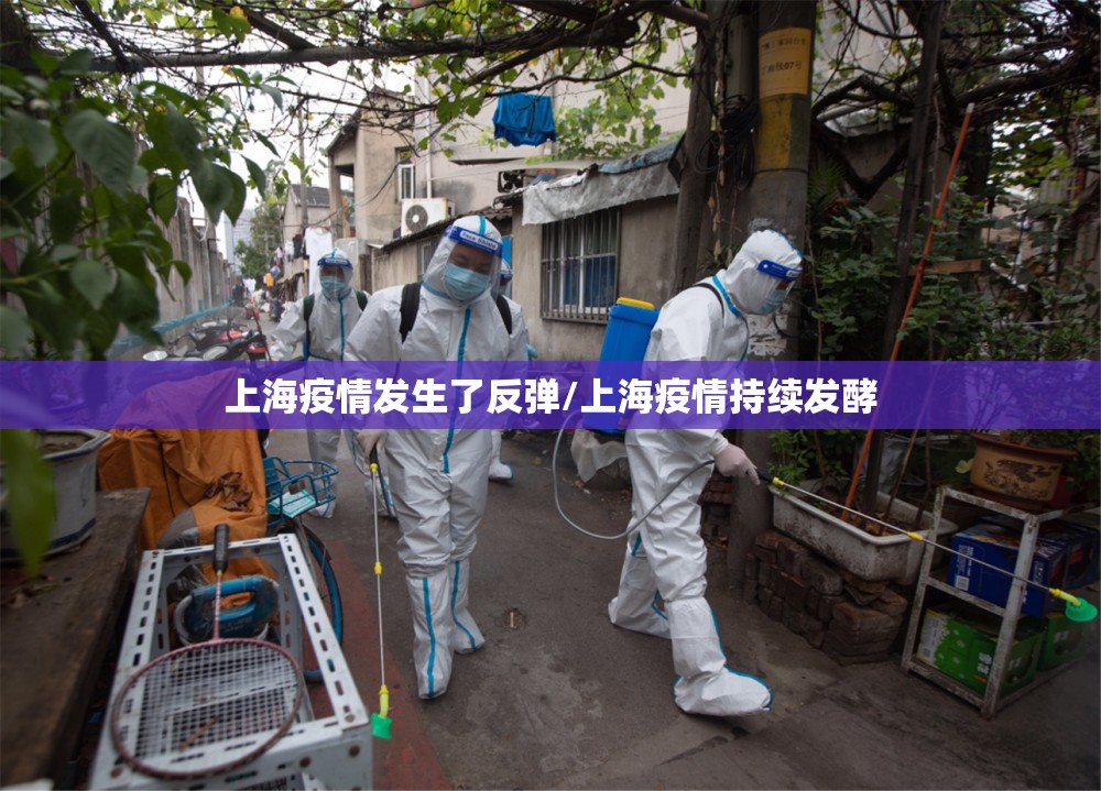 上海疫情发生了反弹/上海疫情持续发酵