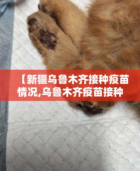 【新疆乌鲁木齐接种疫苗情况,乌鲁木齐疫苗接种信息】