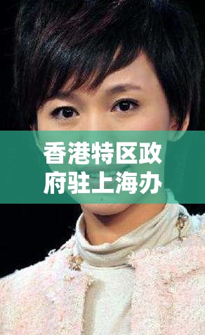 香港特区政府驻上海办事处地址/香港特区政府驻内地办事处