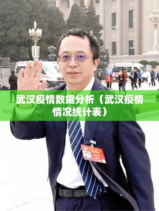 武汉疫情数据分析（武汉疫情情况统计表）