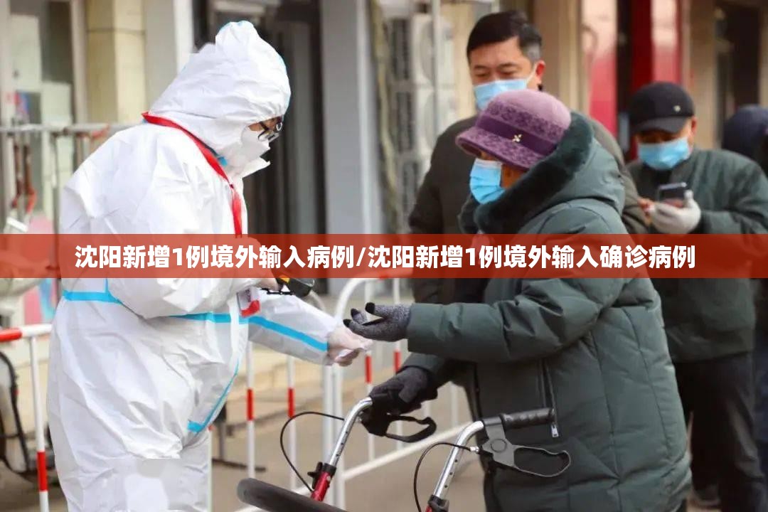 沈阳新增1例境外输入病例/沈阳新增1例境外输入确诊病例