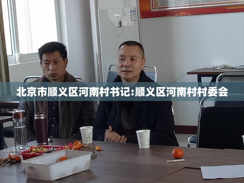 北京市顺义区河南村书记:顺义区河南村村委会