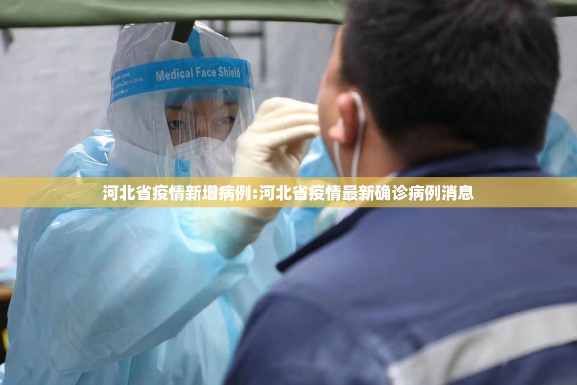 河北省疫情新增病例:河北省疫情最新确诊病例消息