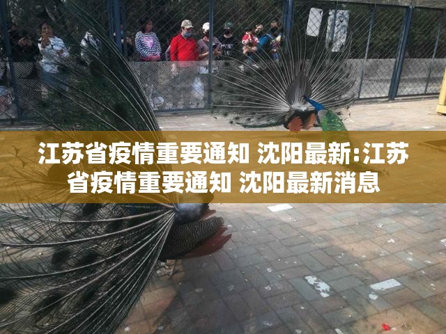 【广州最新传染疫情南昌最新消息,广州最新病情】