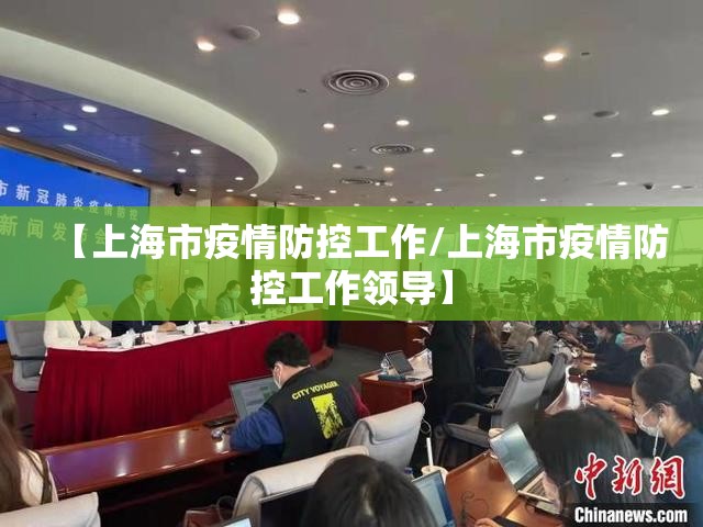 【上海市疫情防控工作/上海市疫情防控工作领导】