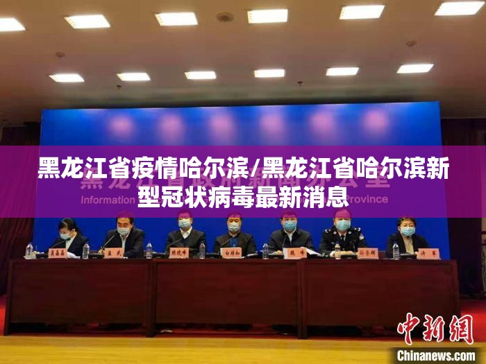 黑龙江省疫情哈尔滨/黑龙江省哈尔滨新型冠状病毒最新消息