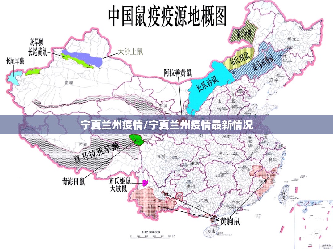 宁夏兰州疫情/宁夏兰州疫情最新情况