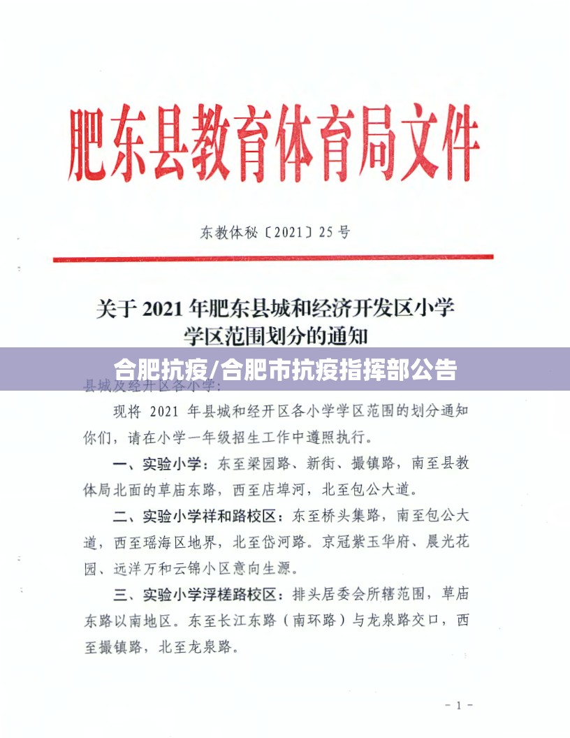 合肥抗疫/合肥市抗疫指挥部公告