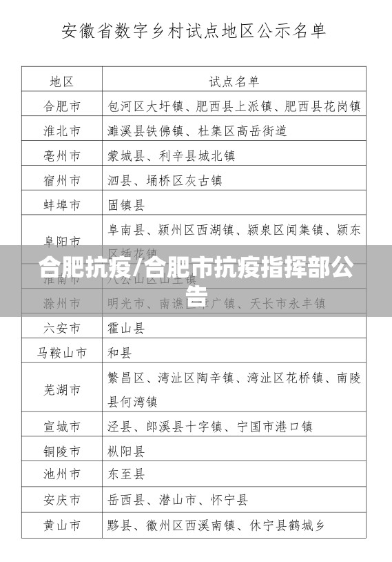 合肥抗疫/合肥市抗疫指挥部公告