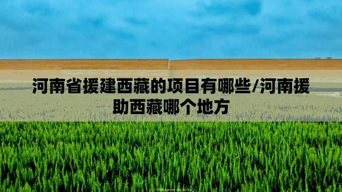河南省援建西藏的项目有哪些/河南援助西藏哪个地方