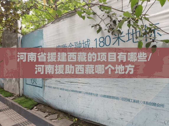 河南省援建西藏的项目有哪些/河南援助西藏哪个地方