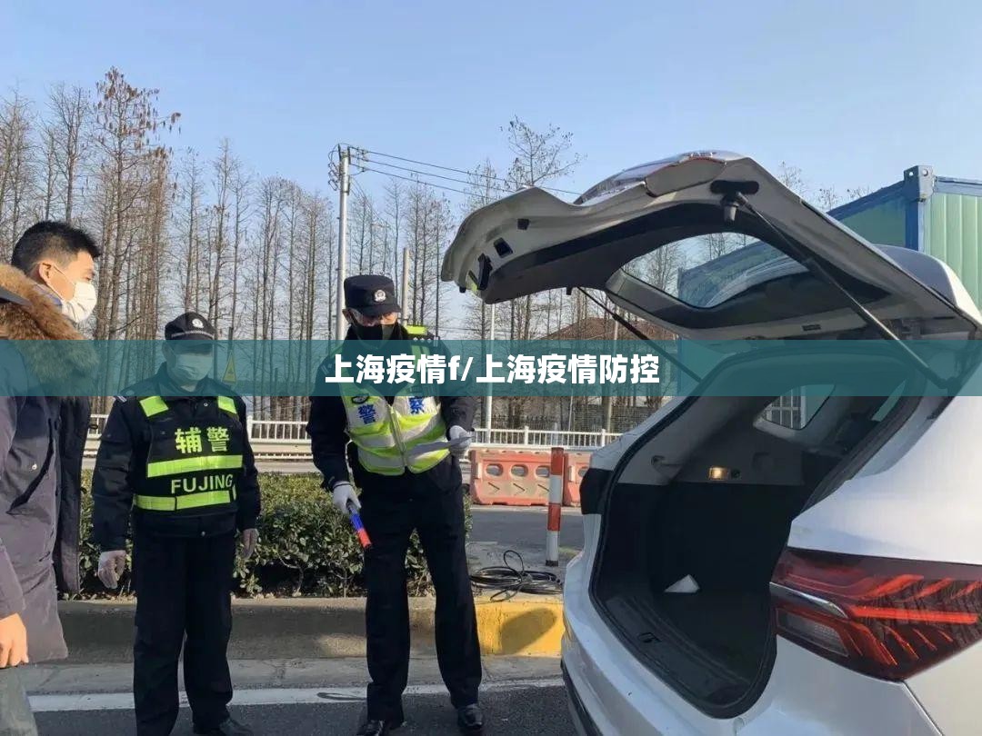 上海疫情f/上海疫情防控