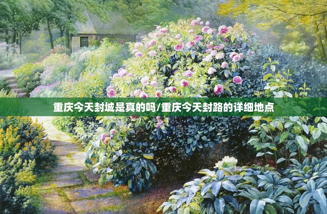 重庆今天封城是真的吗/重庆今天封路的详细地点