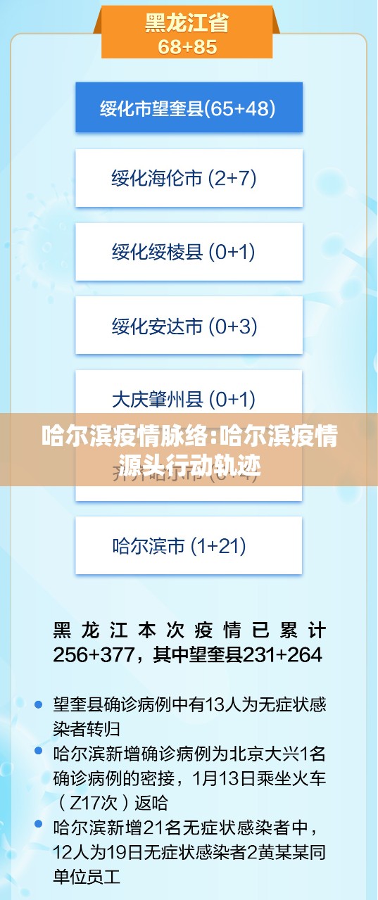 哈尔滨疫情脉络:哈尔滨疫情源头行动轨迹