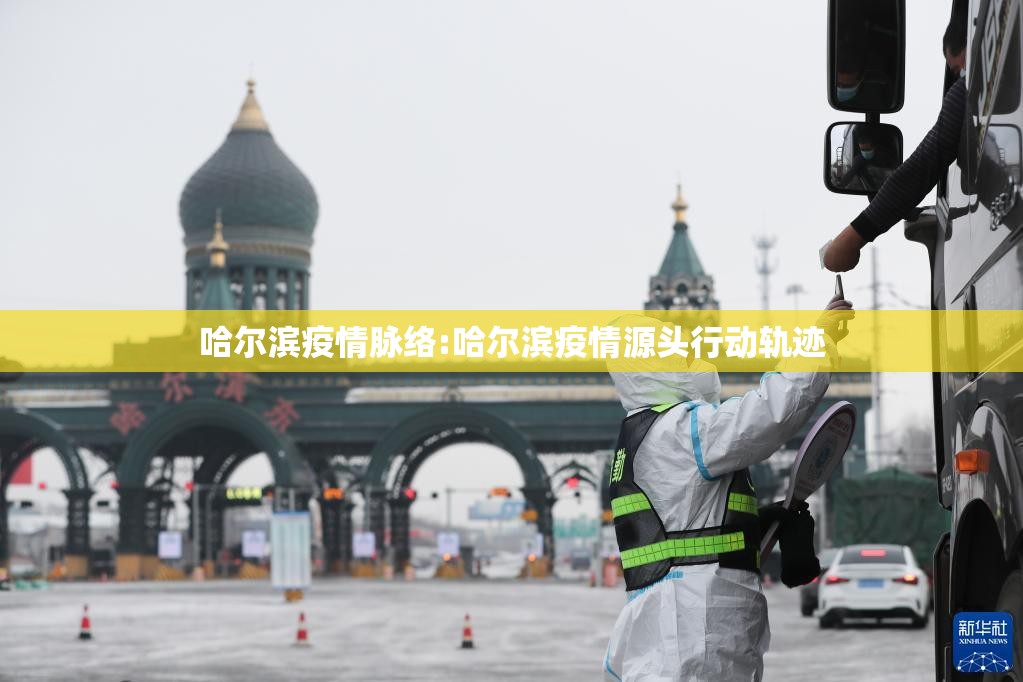 哈尔滨疫情脉络:哈尔滨疫情源头行动轨迹