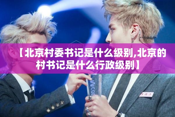 【北京村委书记是什么级别,北京的村书记是什么行政级别】