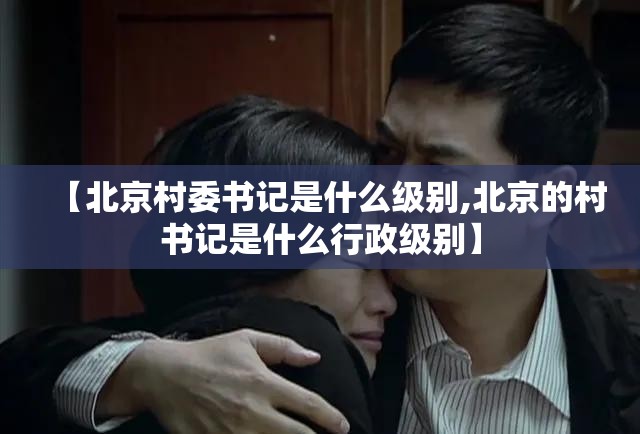 【北京村委书记是什么级别,北京的村书记是什么行政级别】
