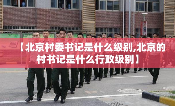 【北京村委书记是什么级别,北京的村书记是什么行政级别】
