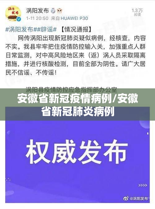 安徽省新冠疫情病例/安徽省新冠肺炎病例