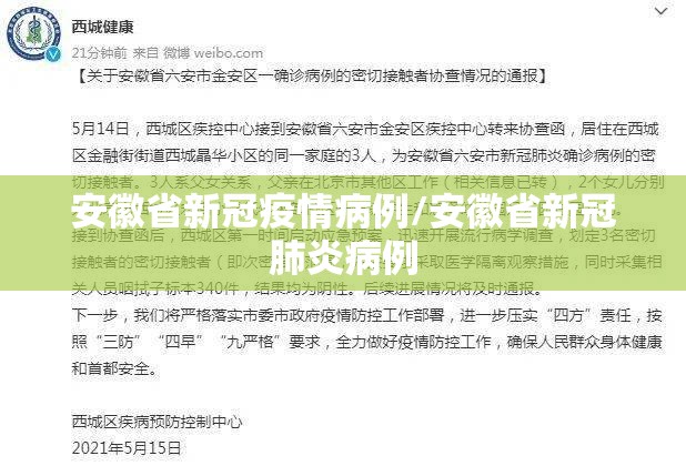 安徽省新冠疫情病例/安徽省新冠肺炎病例